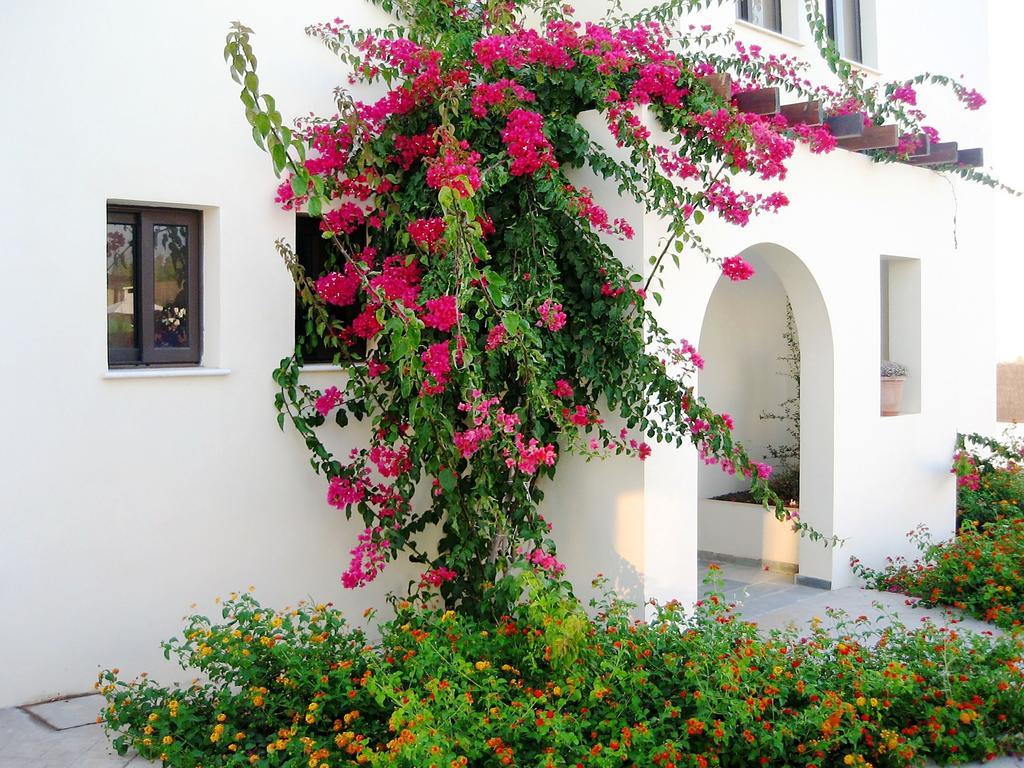 Aura Holiday Villas Paphos Exterior photo